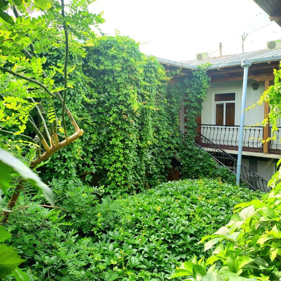 Hotel Rahmon Samarkand Ngoại thất bức ảnh